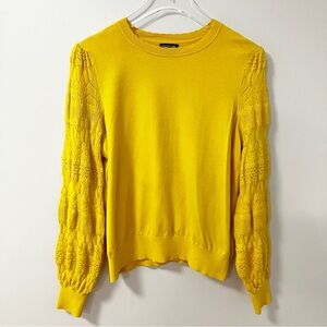 🔻 Who What Wear | Pointelle Sweater XL